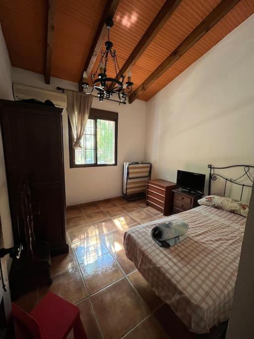Farmhouse Surrounded By Centenary Olive Trees Olías المظهر الخارجي الصورة